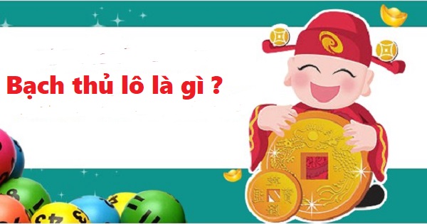 Bạch thủ lô là gì?